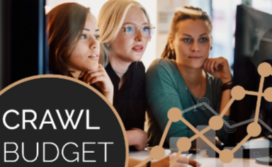Crawl Budget siendo subestimado